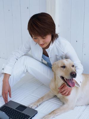 プロ向けのシャンプーキャビネット